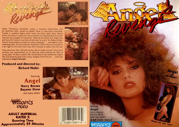 Angel’s Revenge – 1985 – Richard Mailer